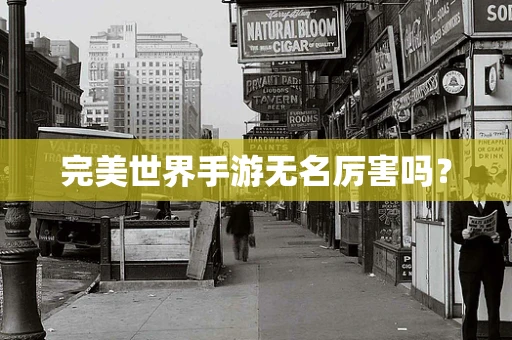 完美世界手游无名厉害吗？