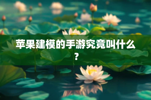 苹果建模的手游究竟叫什么？