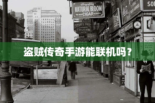 盗贼传奇手游能联机吗？