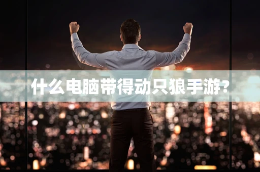 什么电脑带得动只狼手游？