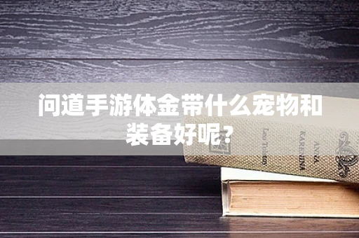问道手游体金带什么宠物和装备好呢？
