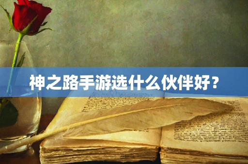 神之路手游选什么伙伴好？