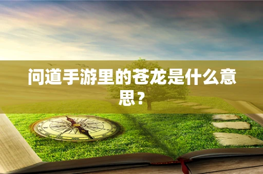 问道手游里的苍龙是什么意思？